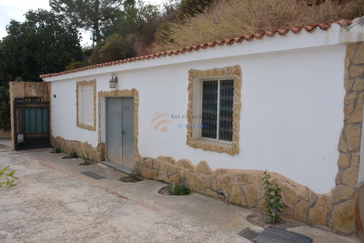 DSC_0147 - copia